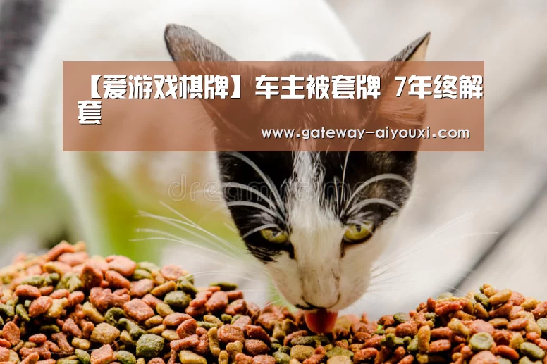 足球即时比分
