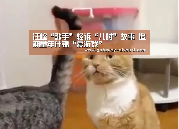 汪峰“歌手”轻诉“儿时”故事 追溯童年什锦“爱游戏”(图1) 爱游戏棋牌